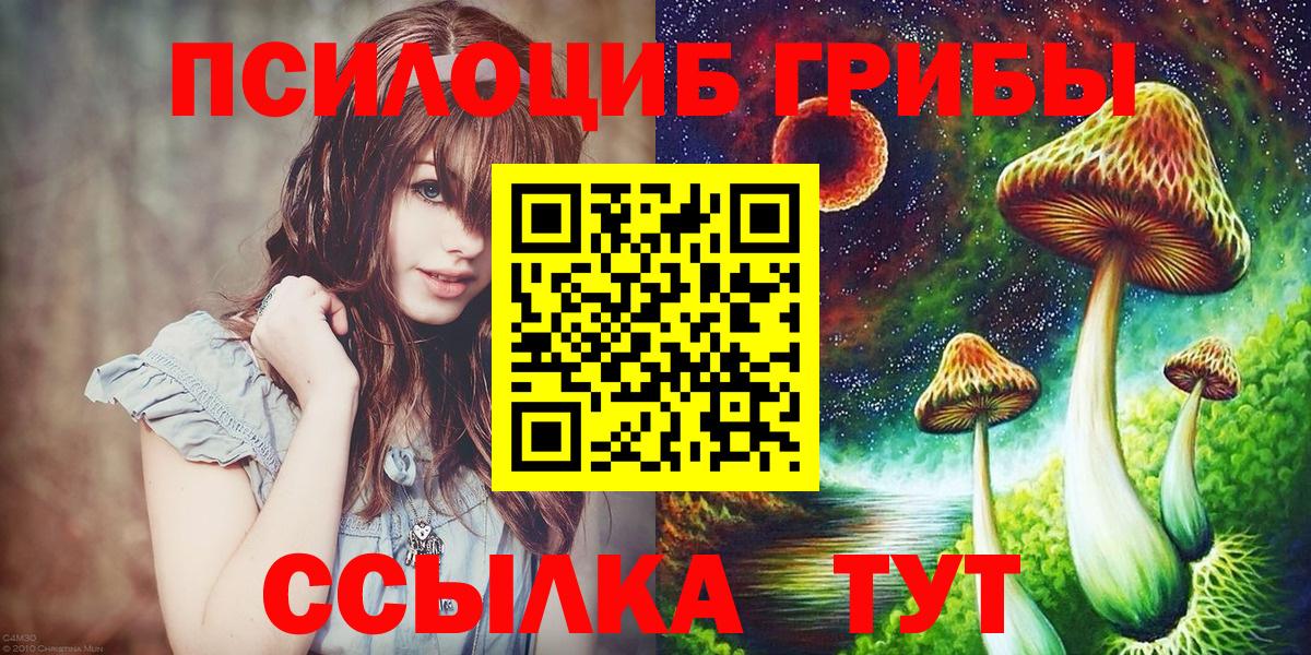 Галлюциногенные грибы GOLDEN TEACHER  Вход с VPN  Горно-Алтайск  Псилоцибиновые грибы GOLDEN TEACHER 